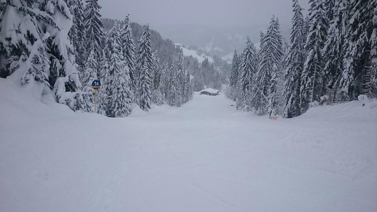 Appartmenthaus Hochkoenig Mühlbach Exterior photo
